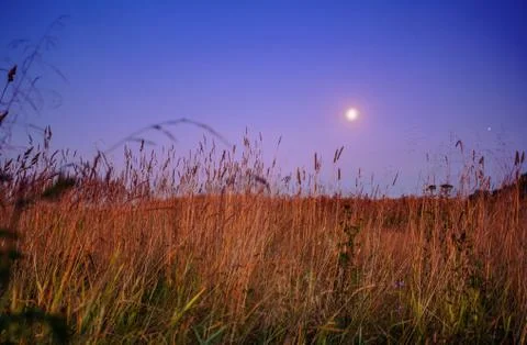 Nightly landscape Stock Photos