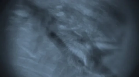 Nightmare dream 4k Stock Footage 50025874