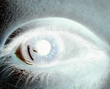 Nightmare Видео 103165