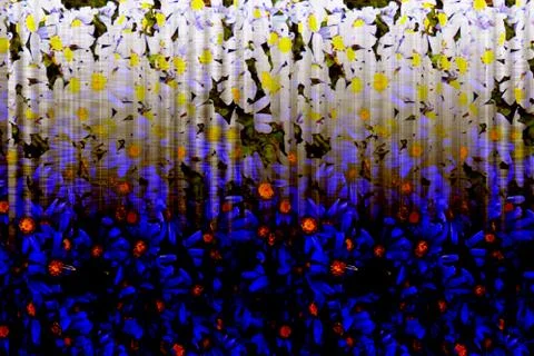 NightStalker Stock Photos