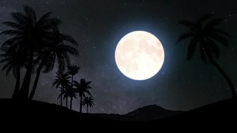 Nighttime atmosphere on the beach Stock Footage 279135263
