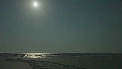 Nighttime Beach With Turtle Trail Pan 4k Handheld 库存影片 204874032