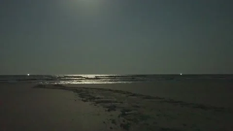 Nighttime Beach With Turtle Trail Tilt 4k Handheld Stock Footage 204874042