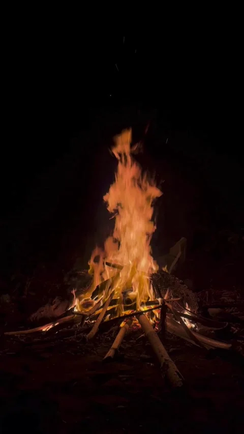 Nighttime Campfire Burning Brightly in the Darkness Stock Footage 293647894