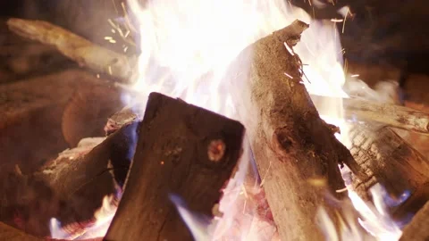 Nighttime Campfire Flame In The Forest Close Up Stock Footage 206455329