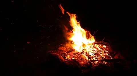 Nighttime Campfire Stock-Footage 24495286