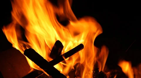 Nighttime Campfire Stock Footage 39565439