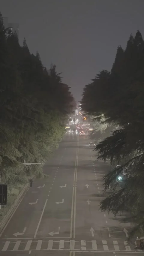 Nighttime City Street with Tree-Lined Road and Distant Traffic Lights Stock Footage 326599476