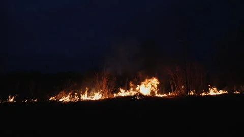 A nighttime fire in an open area, flames engulfing dry grass and bushes Stock Footage 281338609