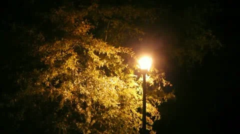 Nighttime Lamp Zoom Stock Footage 10900105