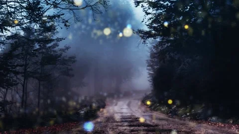 Nighttime magical forest  background Stock Footage 206800415
