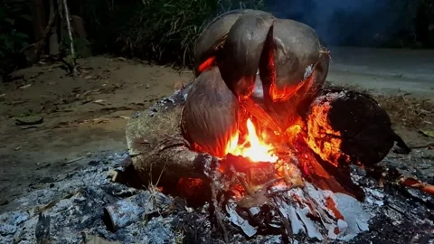 Nighttime outdoor fire burning coconut husks and wood Stock Footage 341682754