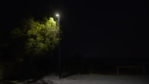 Nighttime park under streetlight Stock Footage 270063940