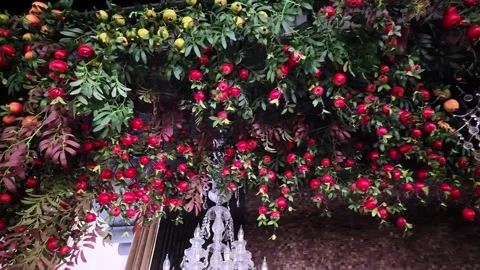 Nighttime pomegranate vine draped over brick wall, crystal chandeliers glowing Video stock 343628751