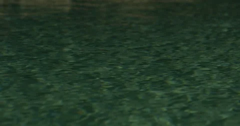 Nighttime Pool Water Stock Footage 203854610