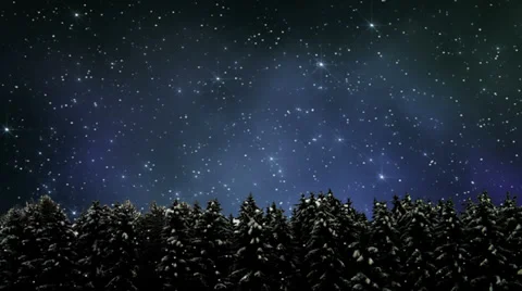Nighttime Snowing Forest Loop Stock Footage 33472760
