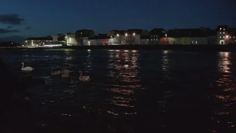 Nighttime Swans on River Corrib with Long Walk, Galway Stock Footage 291963045