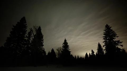 Nighttime time lapse of thin clouds and stars moving above a thick forest of Video stock 303660166