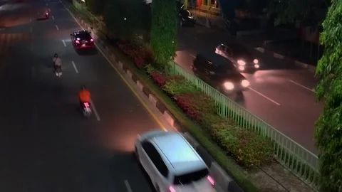 Nighttime Traffic on Two-Way Road with Decorative Street Trees Stock Footage 240031187