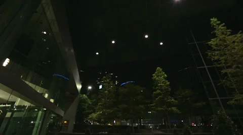 Nighttime Trees Stock Footage 29153202