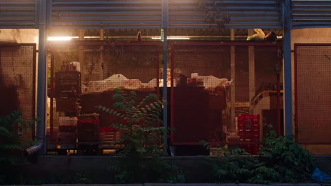 A nighttime video of the closed stalls of an open air market in Sofia, Bulgaria. Stock Footage 314041396