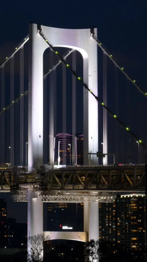 Nighttime view of Rainbow Bridge lit up with city lights and Tokyo Tower in.. Stock Footage 339641041