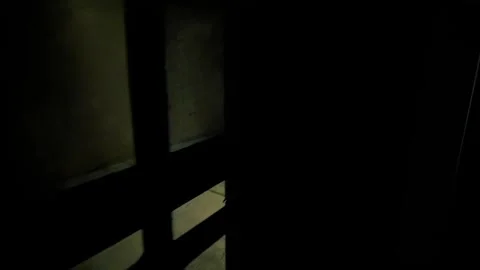 Nighttime View Through Window of Yard and Foliage - Suspenseful Low-Light Scene Stockbeeldmateriaal 321397771