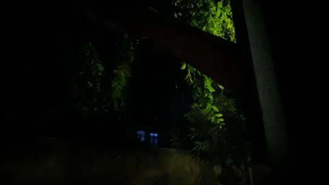 Nighttime View Through Window of Yard and Foliage Suspenseful Low-Light Scene Vídeos de archivo 321398024