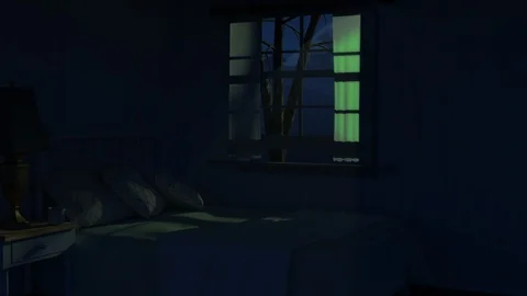 Nighttime Visitors Stock Footage 125170264