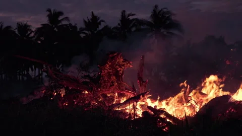 A nighttime wildfire burning through jungle, causing extensive deforestation and Stock Footage 327769775