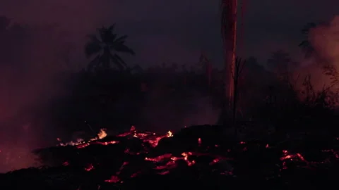 A nighttime wildfire burning through jungle, causing extensive deforestation and Stock Footage 327831733