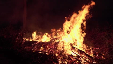 A nighttime wildfire burning through jungle, causing extensive deforestation and Stock Footage 327888783
