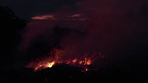 A nighttime wildfire burning through jungle, causing extensive deforestation and Stock Footage 327947018