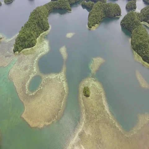Nikko Bay Palau Stock Footage 69533120