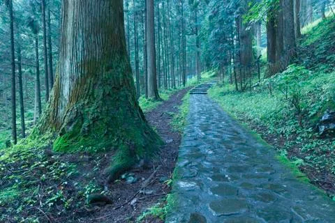 Nikko pathway Stock Photos