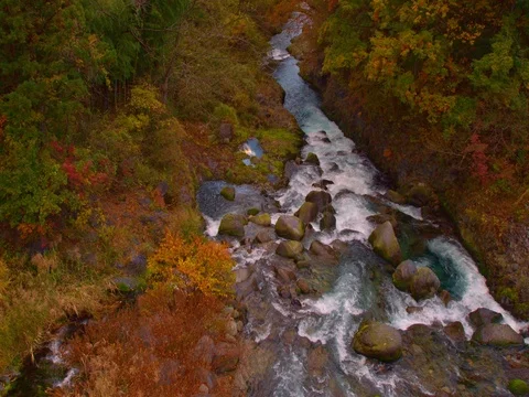 Nikko River Fall leaf colors ( Autumn) Stock Footage 70405188