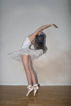 NIKO5271 Stock Photos