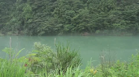 Nikor Video stock 11671889