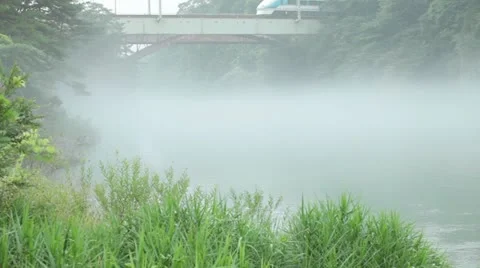 Nikor Video stock 11672010