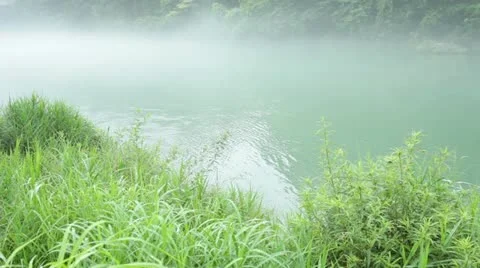 Nikor Video stock 11672058