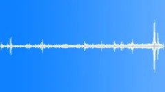 Nile Crocodile Adult InSound Effect