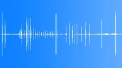 Nile Crocodile CU CallsSound Effect