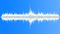 Nile Crocodile Young CrocodilesSound Effect