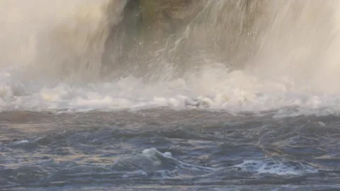 Nile Crocodiles lay in front of waterfall looking for fish Stock Footage 259983271
