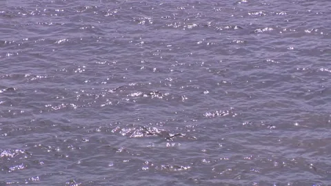 The Nile Stock Footage 259721896