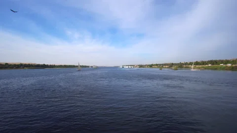 Nile river panorama view with Islam mosque on the side Video stock 131361075