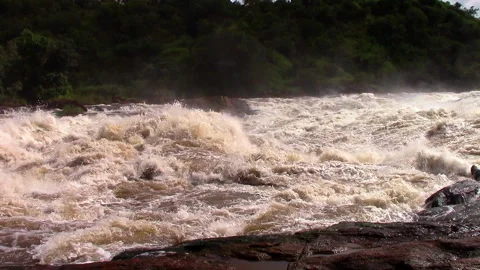 Nile River in Uganda flows through sheer rapids and forms raging waterfalls Stock Footage 106051407