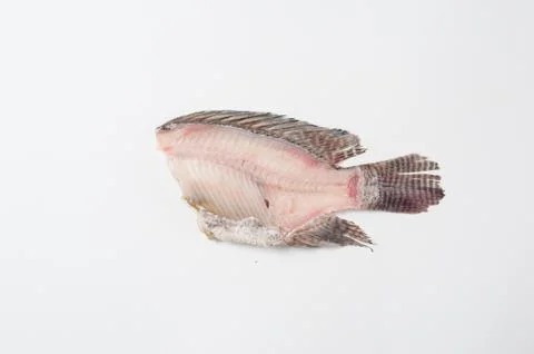 Nile tilapia fishbone on white background Stock Photos