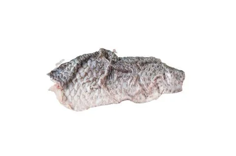 Nile tilapia fishbone on white background Stock Photos