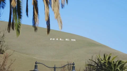 Niles Video stock 147162081